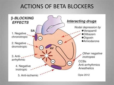 blocker bet|dangers of taking beta blockers.